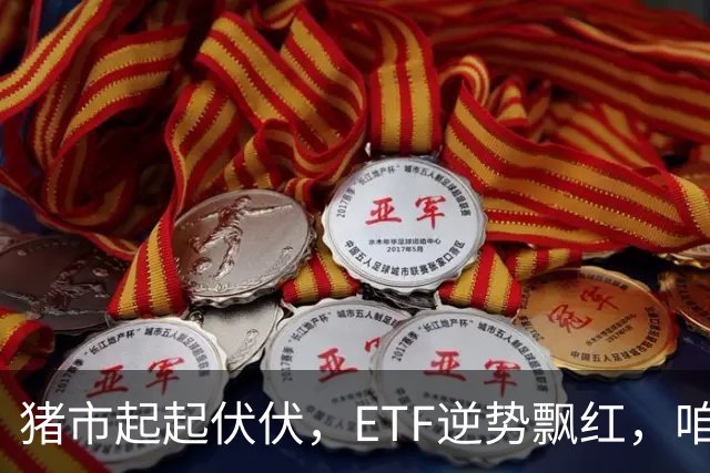 猪市起起伏伏，ETF逆势飘红，咱们聊聊背后的故事！
