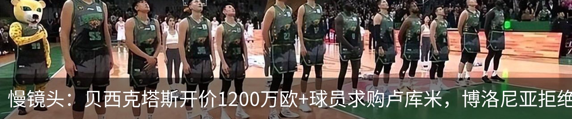 最新动态