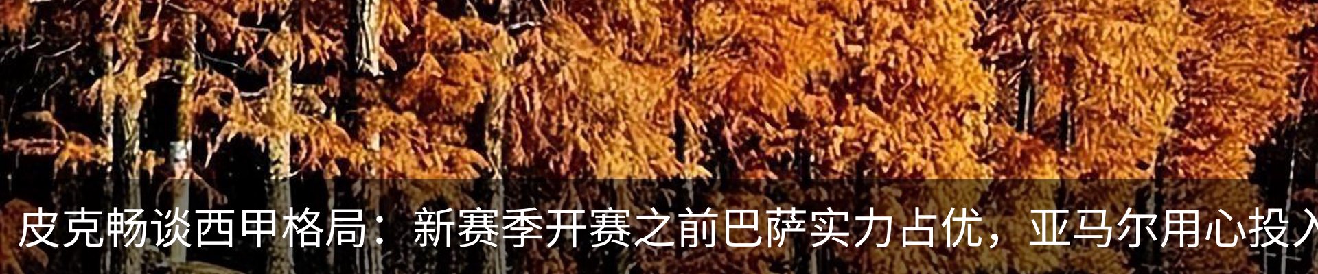 最新动态
